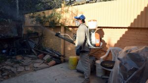 fumigacion de casas