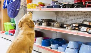 tienda de animales