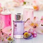 Clasificación de perfumes por familias olfativas