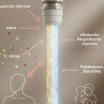 El Triple Riesgo de la Ducha: Absorción, Inhalación y Cloro