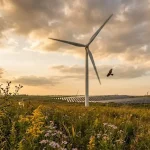 Iniciativas para afrontar el dilema de la «Energía Verde»